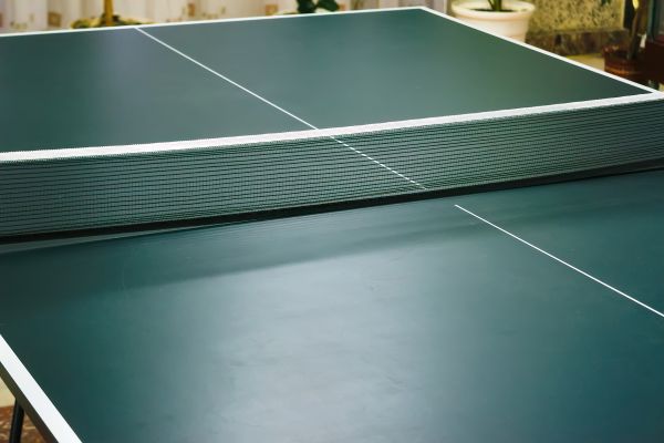 Ping Pong Table Assembly in Palm Springs